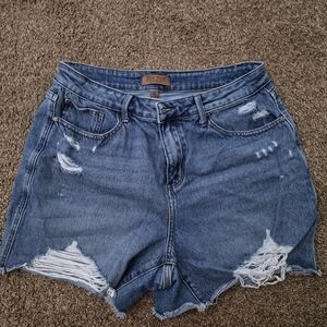 Judy Blue Ripped Denim Jean Shorts